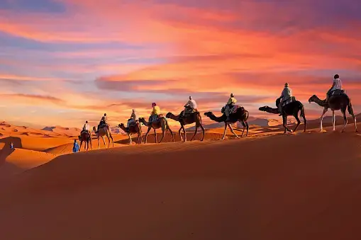 2 days desert tour