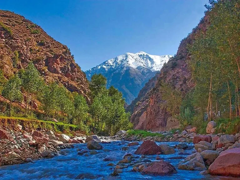 ourika day trip from marrakech